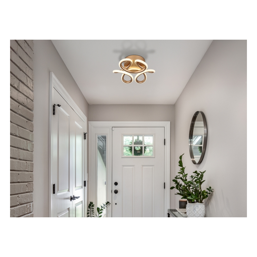 Globo - LED Stropna svetilka LED/24W/230V 2700/4000/6000K pr. 26 cm zlata