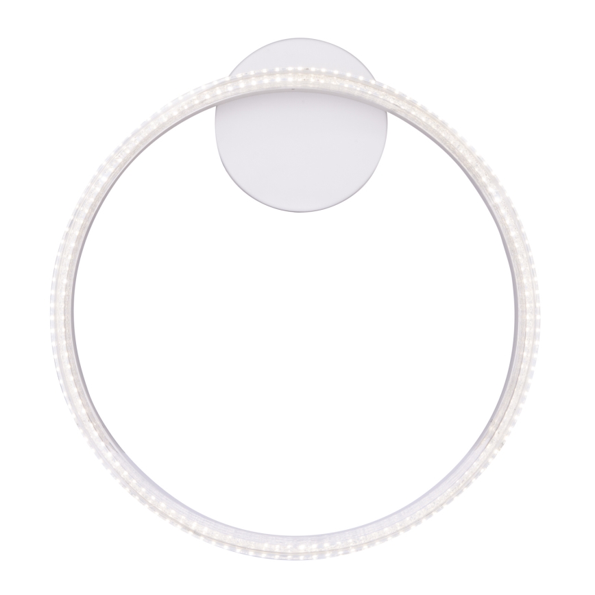 Globo - LED Stropna svetilka LED/24W/230V