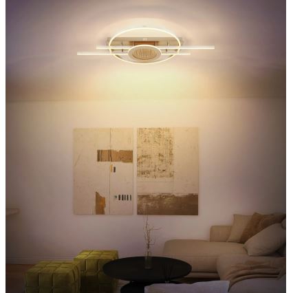 Globo - LED stropna svetilka LED/40W/230V 3000K