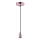Globo A36 - Napajalni kabel OLIVER 1xE27/40W/230V