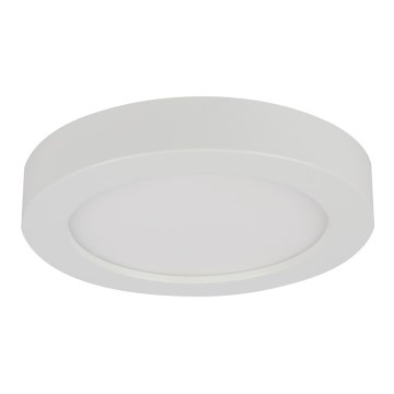 Globo - LED Kopalniško stropno svetilo LED/18W/230V IP44