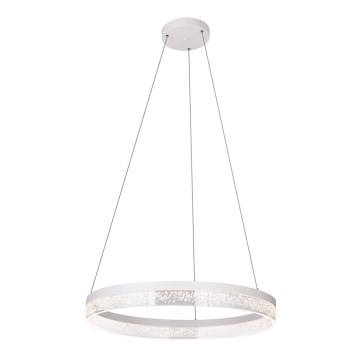 Globo - LED Lestenec na vrvici 1xLED/36W/230V