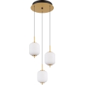 Globo - LED Lestenec na vrvici LED/20W/230V