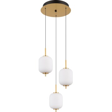 Globo - LED Lestenec na vrvici LED/20W/230V