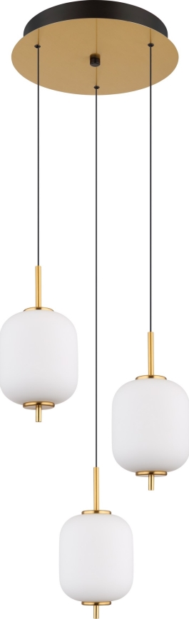 Globo - LED Lestenec na vrvici LED/20W/230V