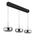 Globo - LED lestenec na vrvici LED/30W/230V 3000K