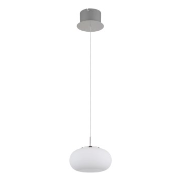 Globo - LED Lestenec na vrvici LED/6W/230V bela