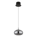 Globo - LED Lestenec na vrvici LED/6W/230V črna