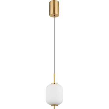 Globo - LED Lestenec na vrvici LED/7W/230V