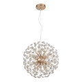 Globo - LED lestenec s kablom 8xG9/3,5W/230V v zlati barvi