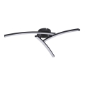 Globo - LED Nadgradni lestenec 3xLED/6W/230V 3000/4000/6000K