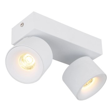 Globo - LED Reflektor 2xLED/6W/230V bela