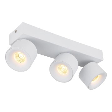 Globo - LED Reflektor 3xLED/6W/230V bela