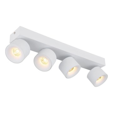 Globo - LED Reflektor 4xLED/6W/230V bela