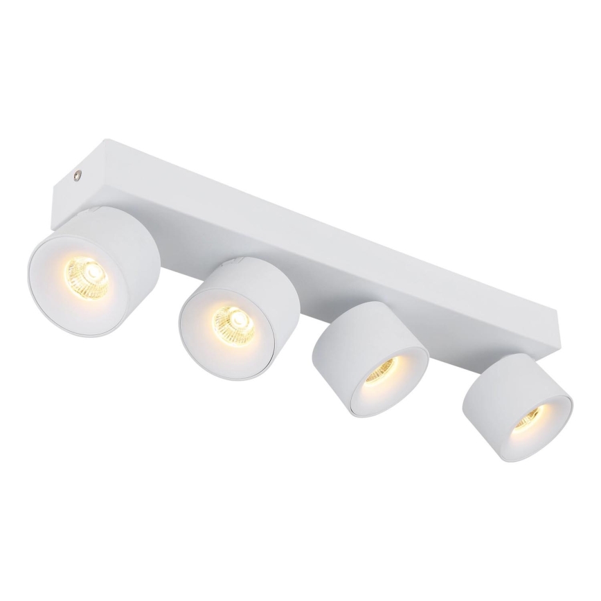 Globo - LED Reflektor 4xLED/6W/230V bela