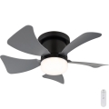 Globo - LED Reguliući stropni ventilator LED/10W/230V 3000-6500K siva + daljinsko upravljanje