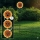 Globo - LED solarno svetilo 200xLED/3V IP44 600 mAh v obliki cvetlice