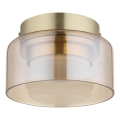 Globo - LED Stropna svetilka 1xGX53/6W/230V pr. 13 cm dimna/rjava