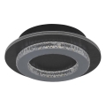Globo - LED stropna svetilka LED/12W/230V 3000/4000/6500K premer 20 cm antracitna