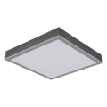 Globo - LED Stropna svetilka LED/12W/230V 3000K 30x30 cm