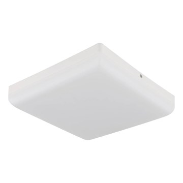 Globo - LED Stropna svetilka LED/12W/230V 4000K 22x22 cm bela