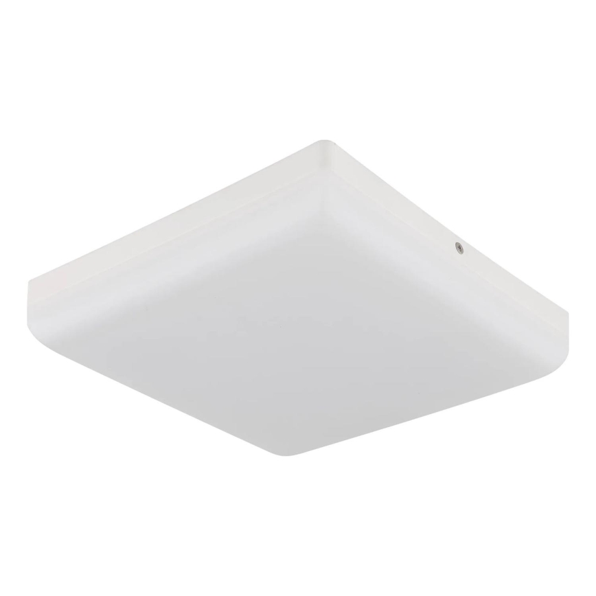 Globo - LED Stropna svetilka LED/12W/230V 4000K 22x22 cm bela