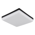 Globo - LED Stropna svetilka LED/12W/230V 4000K 22x22 cm črna