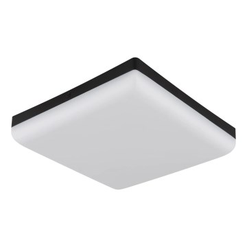 Globo - LED Stropna svetilka LED/12W/230V 4000K 22x22 cm črna