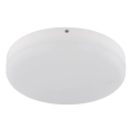 Globo - LED Stropna svetilka LED/12W/230V 4000K pr. 22 cm bela