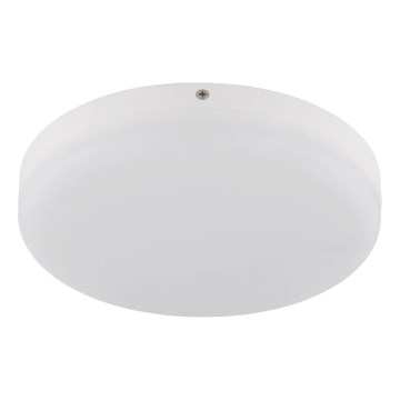 Globo - LED Stropna svetilka LED/12W/230V 4000K pr. 22 cm bela