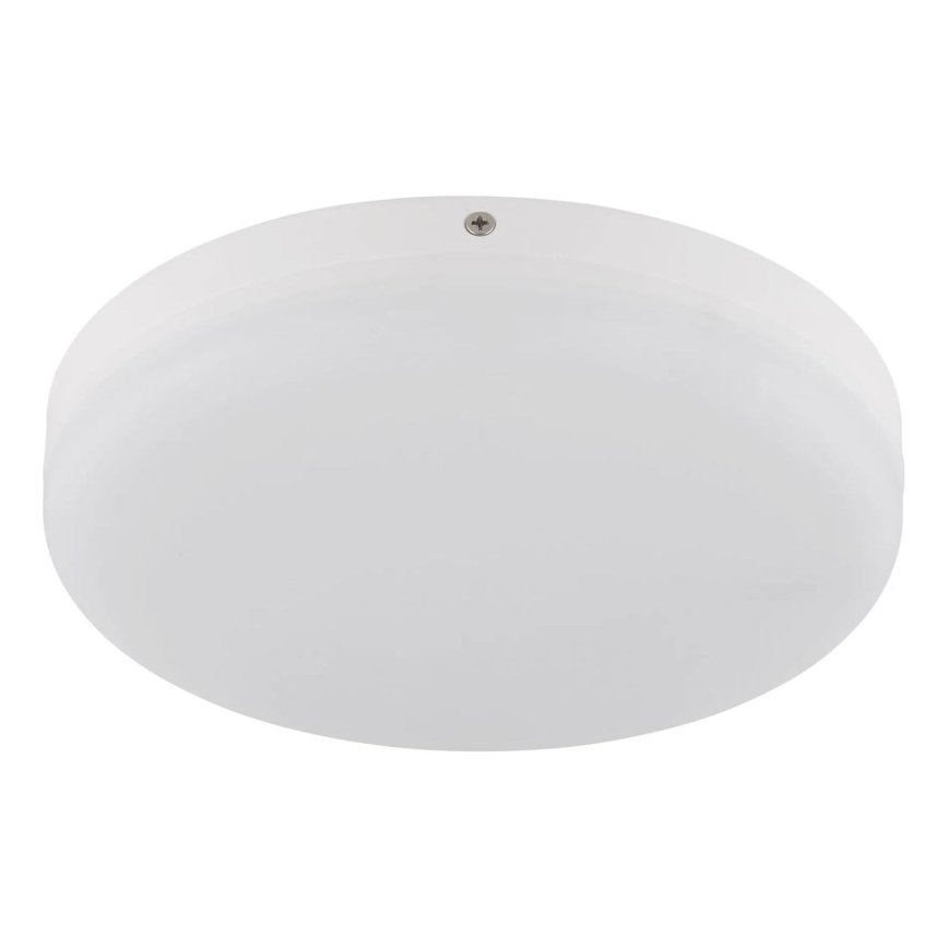 Globo - LED Stropna svetilka LED/12W/230V 4000K pr. 22 cm bela