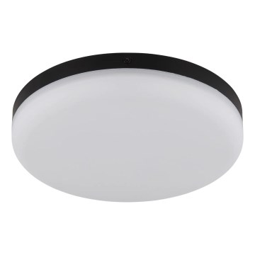 Globo - LED Stropna svetilka LED/12W/230V 4000K pr. 22 cm črna