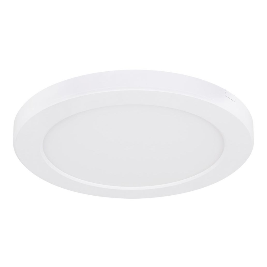 Globo - LED Stropna svetilka LED/18W/230V 3000/4000/6500K bela