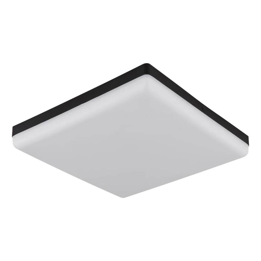 Globo - LED Stropna svetilka LED/18W/230V 4000K 30x30 cm črna