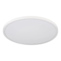 Globo - LED stropna svetilka LED/20W/230V 4000K, premer 30 cm, bela