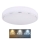 Globo - LED Stropna svetilka LED/24W/230V 3000/4000/6000K pr. 37,5 cm