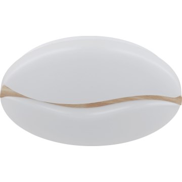 Globo - LED Stropna svetilka LED/24W/230V 3000/4200/6000K pr. 33 cm