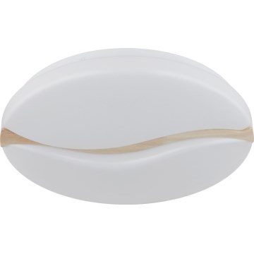 Globo - LED Stropna svetilka LED/24W/230V 3000/4200/6000K pr. 39 cm