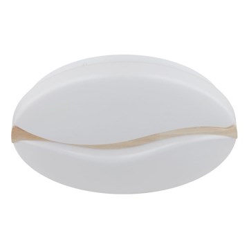 Globo - LED stropna svetilka LED/24W/230V 3000/4200/6000K premer 39 cm