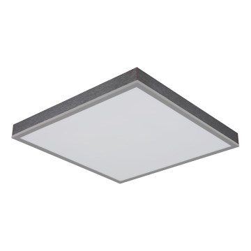 Globo - LED Stropna svetilka LED/24W/230V 3000K 45x45 cm