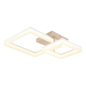 Globo - LED stropna svetilka LED/24W/230V 3000K 46,5x62,5 cm