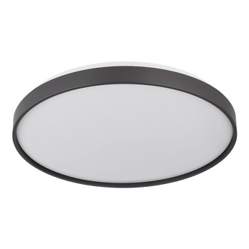 Globo - LED Stropna svetilka LED/24W/230V