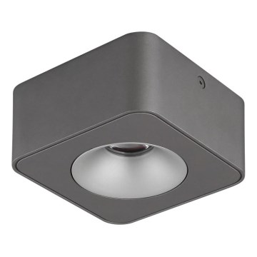 Globo - LED Stropna svetilka LED/6,5W/230V 11,7x11,7 cm