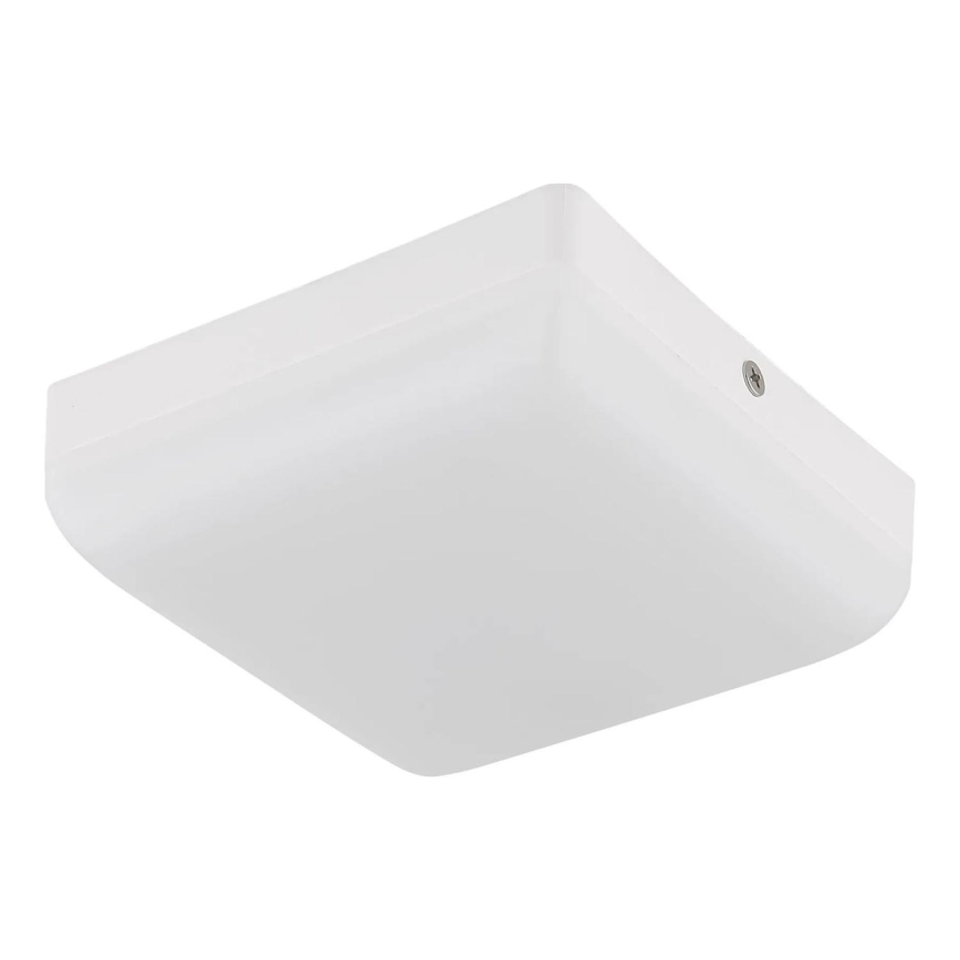 Globo - LED Stropna svetilka LED/8W/230V 4000K 12x12 cm bela