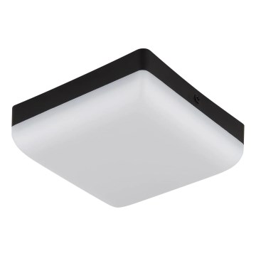Globo - LED Stropna svetilka LED/8W/230V 4000K 12x12 cm črna