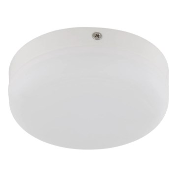 Globo - LED Stropna svetilka LED/8W/230V 4000K pr. 12 cm bela