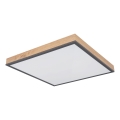 Globo - LED stropno svetilo z zatemnitvijo LED/24W/230V 3000-6500K 45x45 cm
