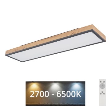 Globo - LED Zatemnitvena stropna svetilka LED/24W/230V 2700-6500K + Daljinski upravljalnik
