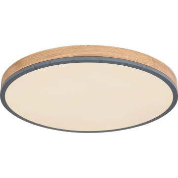 Globo - LED Zatemnitvena stropna svetilka LED/40W/230V 2700-6500K pr. 60 cm + Daljinski upravljalnik rjava/siva