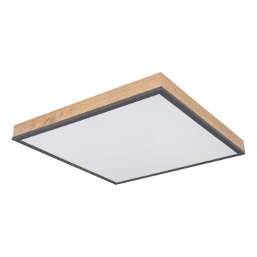 Globo - LED zatemnjiva stropna svetilka LED/24W/230V 3000-6500K 45x45 cm